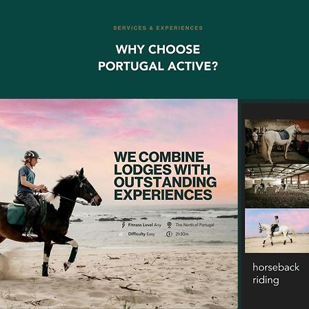 Portugal Active Atlantic Lodge -Sea View -Premium 阿菲菲 外观 照片